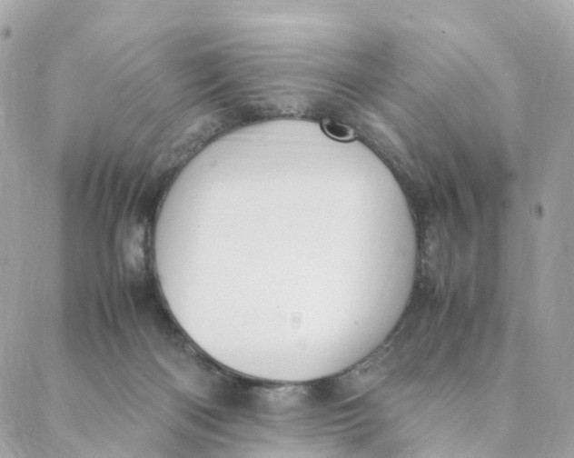 X0000088090122200706011613