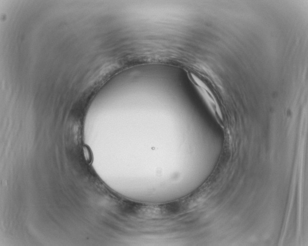 X0000088090123200706011613