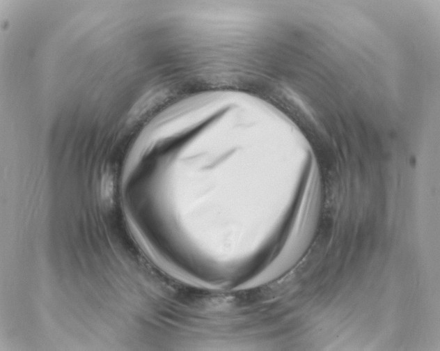 X0000088090124200706011613