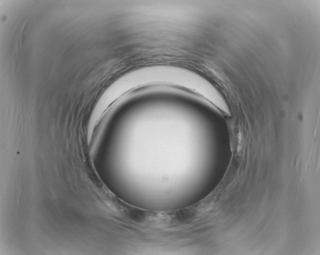 X0000088090125200706011613