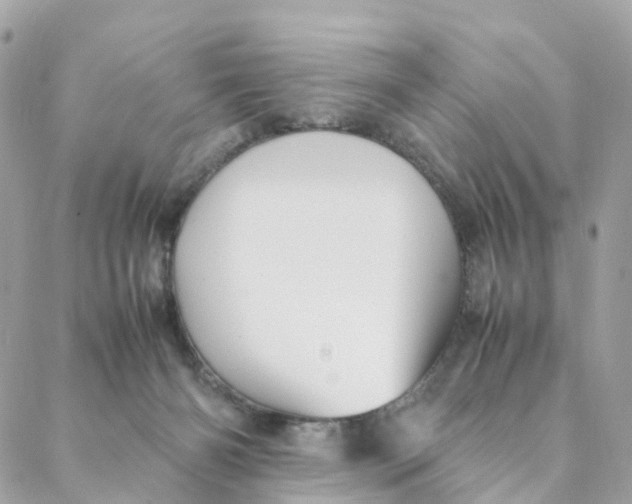 X0000088090126200706011613