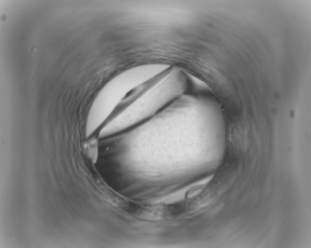 X0000088090127200706011613