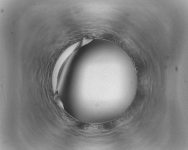 X0000088090129200706011613