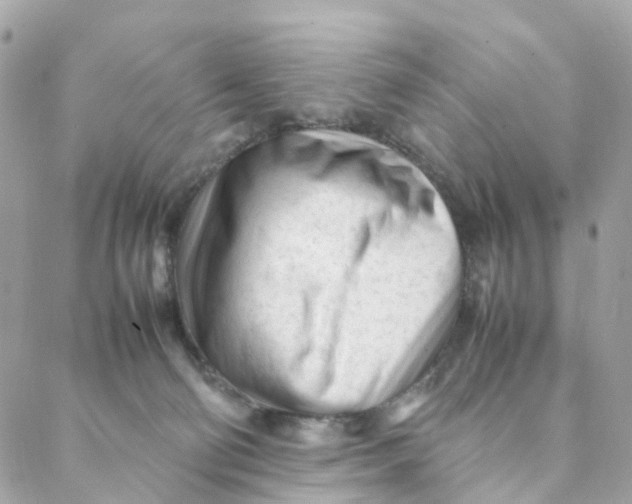 X0000088090130200706011613