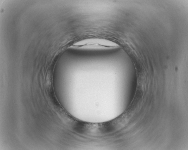 X0000088090131200706011613