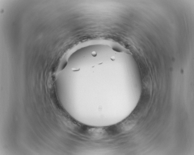 X0000088090133200706011613