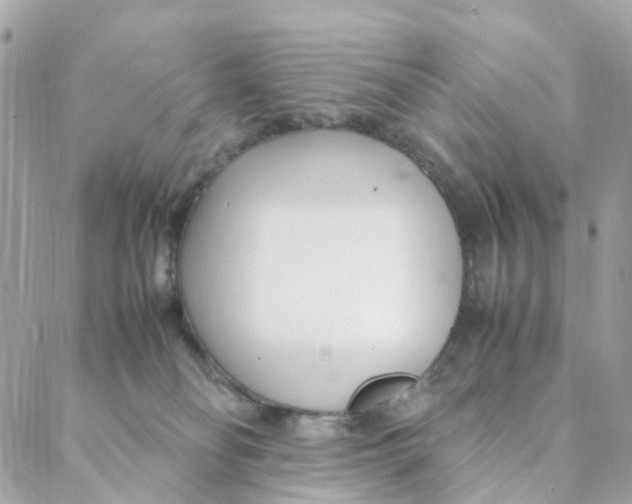 X0000088090134200706011613