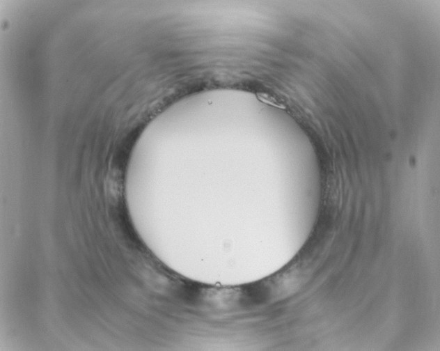 X0000088090135200706011613