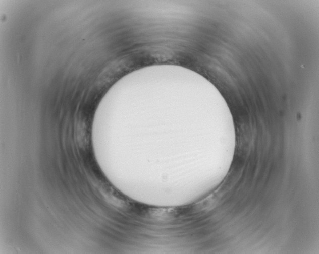 X0000088090136200706011613