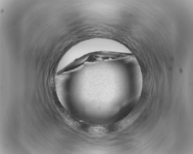 X0000088090137200706011613