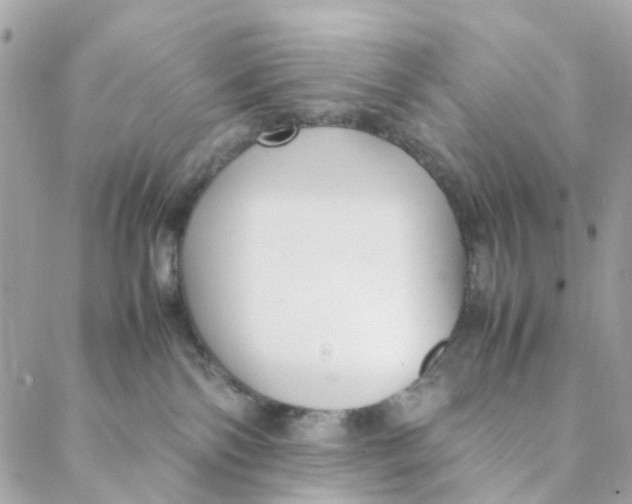 X0000088090138200706011613