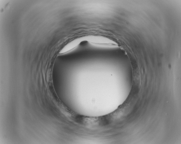 X0000088090139200706011613