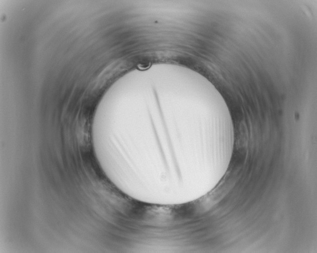 X0000088090140200706011613