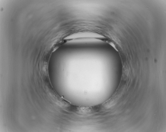 X0000088090141200706011613