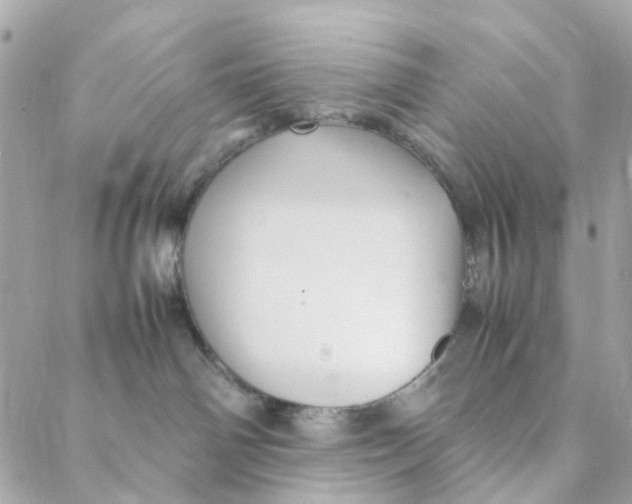 X0000088090142200706011613