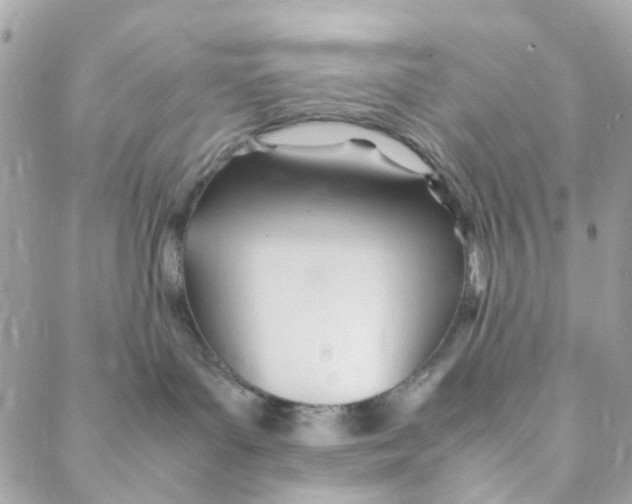 X0000088090143200706011613