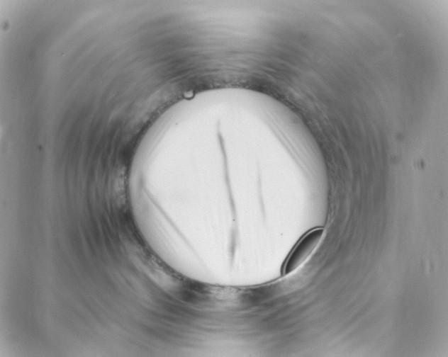 X0000088090144200706011613