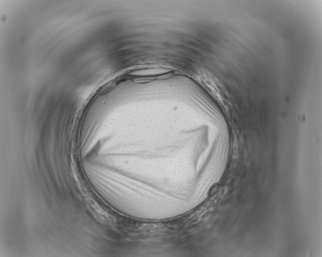 X0000088090145200706011612