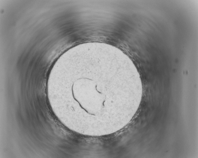 X0000088090146200706011612