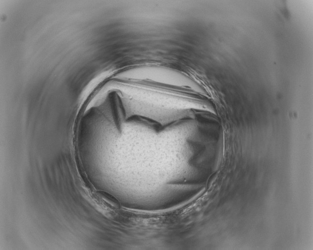 X0000088090147200706011612