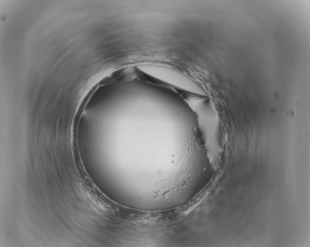 X0000088090148200706011612