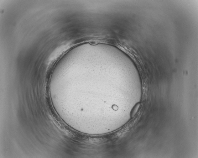 X0000088090149200706011612