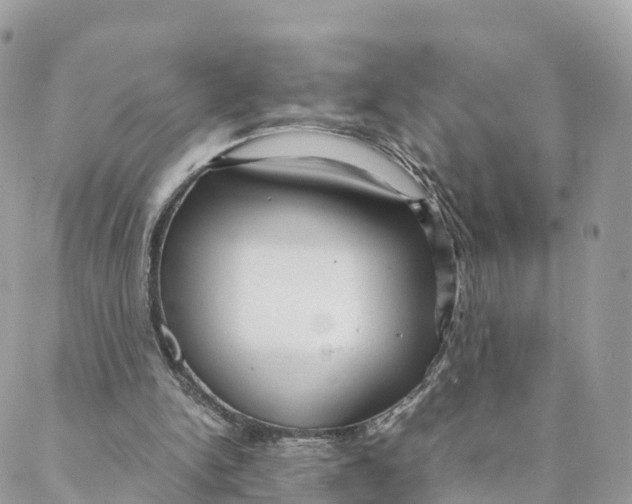 X0000088090150200706011612