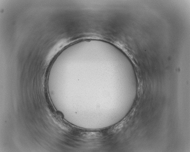 X0000088090151200706011612