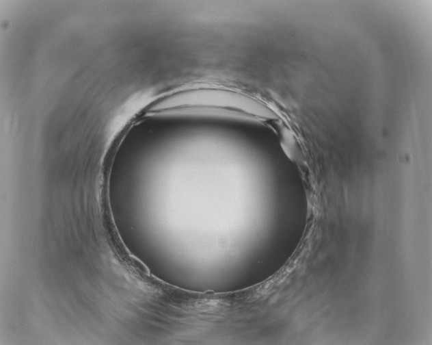 X0000088090152200706011612