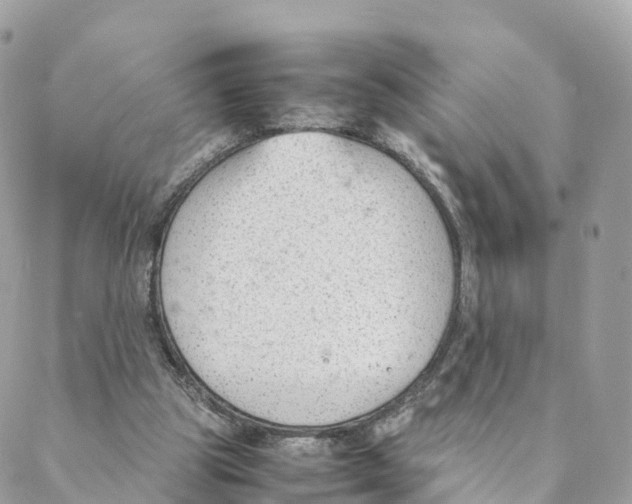 X0000088090153200706011612