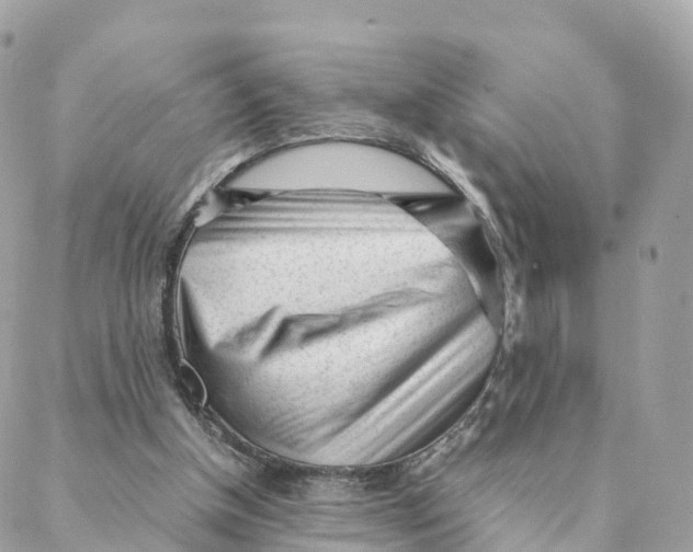 X0000088090154200706011612