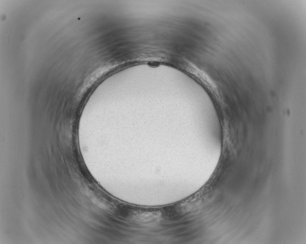 X0000088090155200706011612