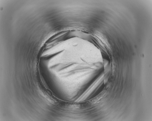 X0000088090156200706011612