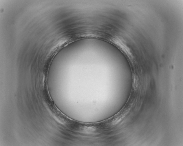 X0000088090157200706011612