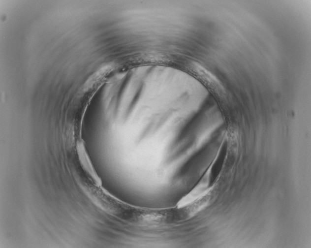 X0000088090158200706011612