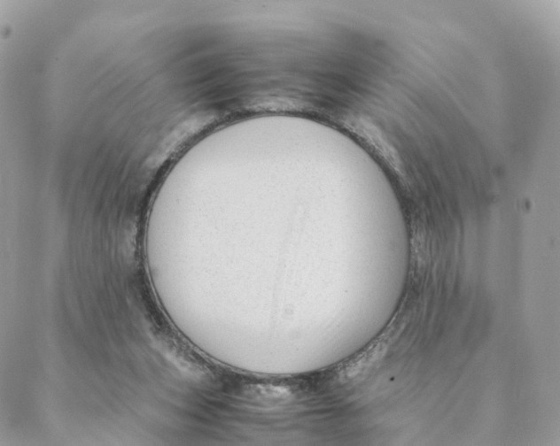 X0000088090159200706011612