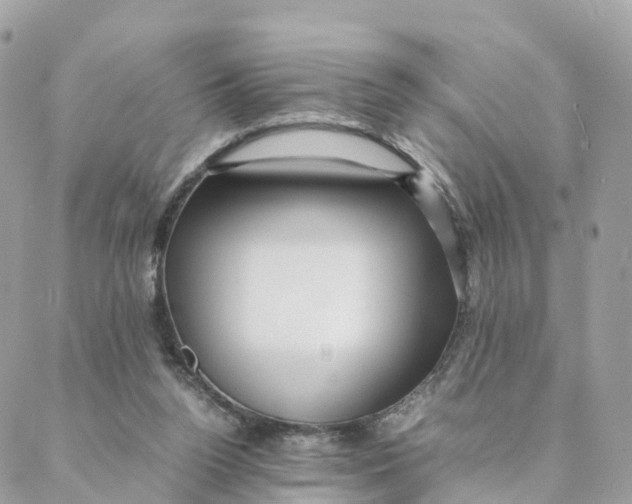 X0000088090160200706011612