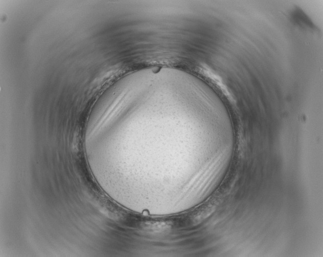 X0000088090161200706011613