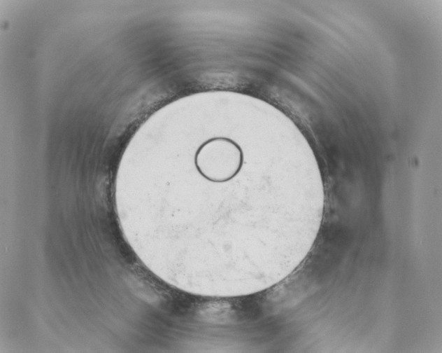 X0000088090162200706011613