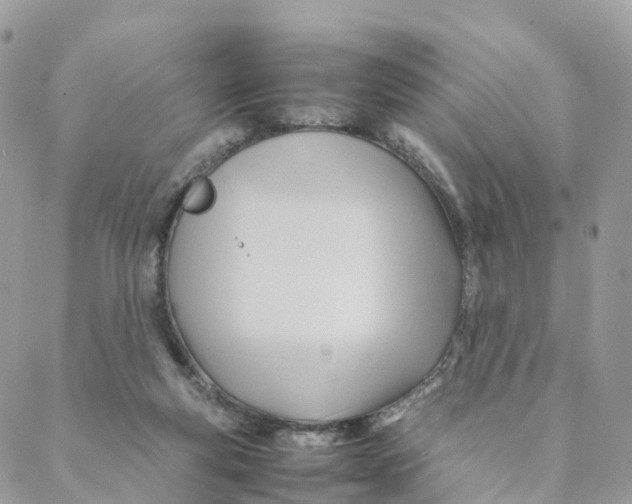 X0000088090163200706011613