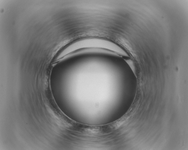 X0000088090164200706011613