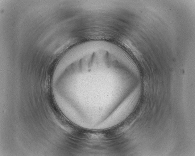 X0000088090165200706011613