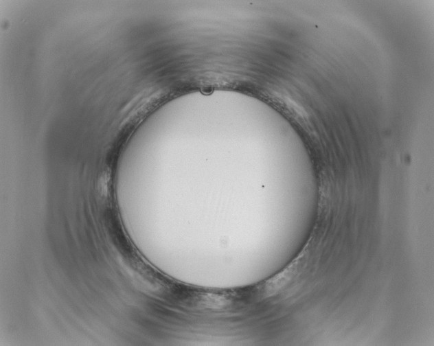 X0000088090166200706011613