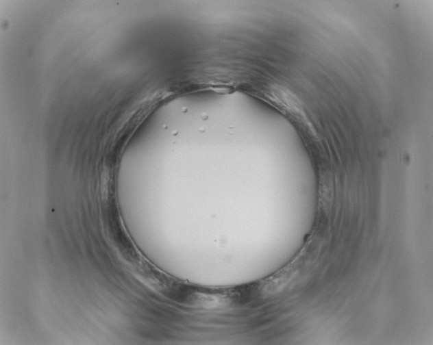 X0000088090167200706011613