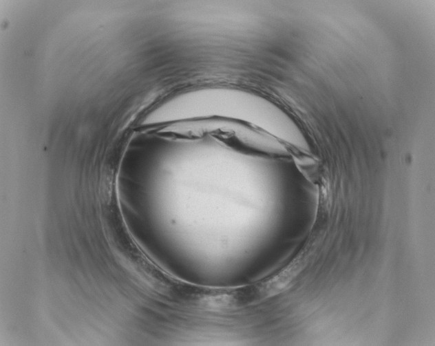 X0000088090168200706011613