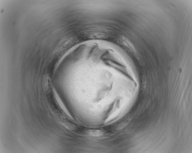 X0000088090169200706011613