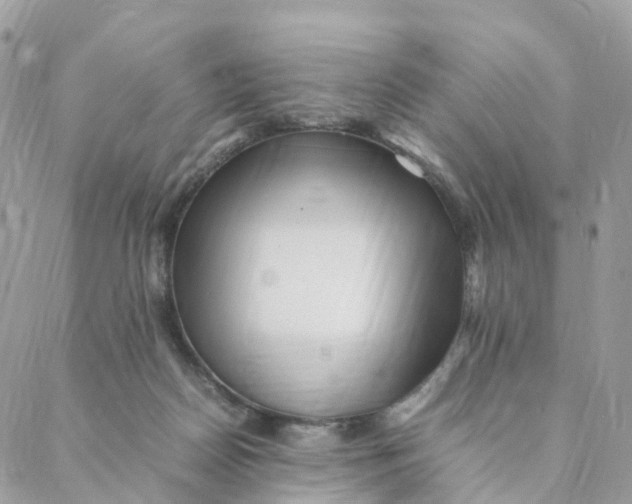 X0000088090170200706011613