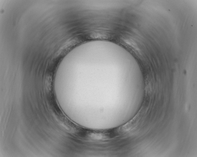 X0000088090171200706011613