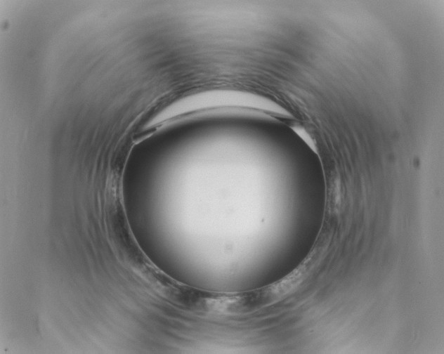 X0000088090172200706011613