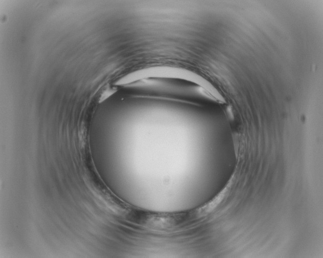 X0000088090174200706011613